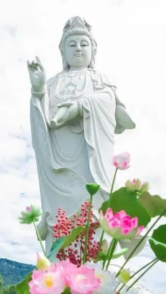 天游ty8线路检测中心观音传世经典三日法会通启